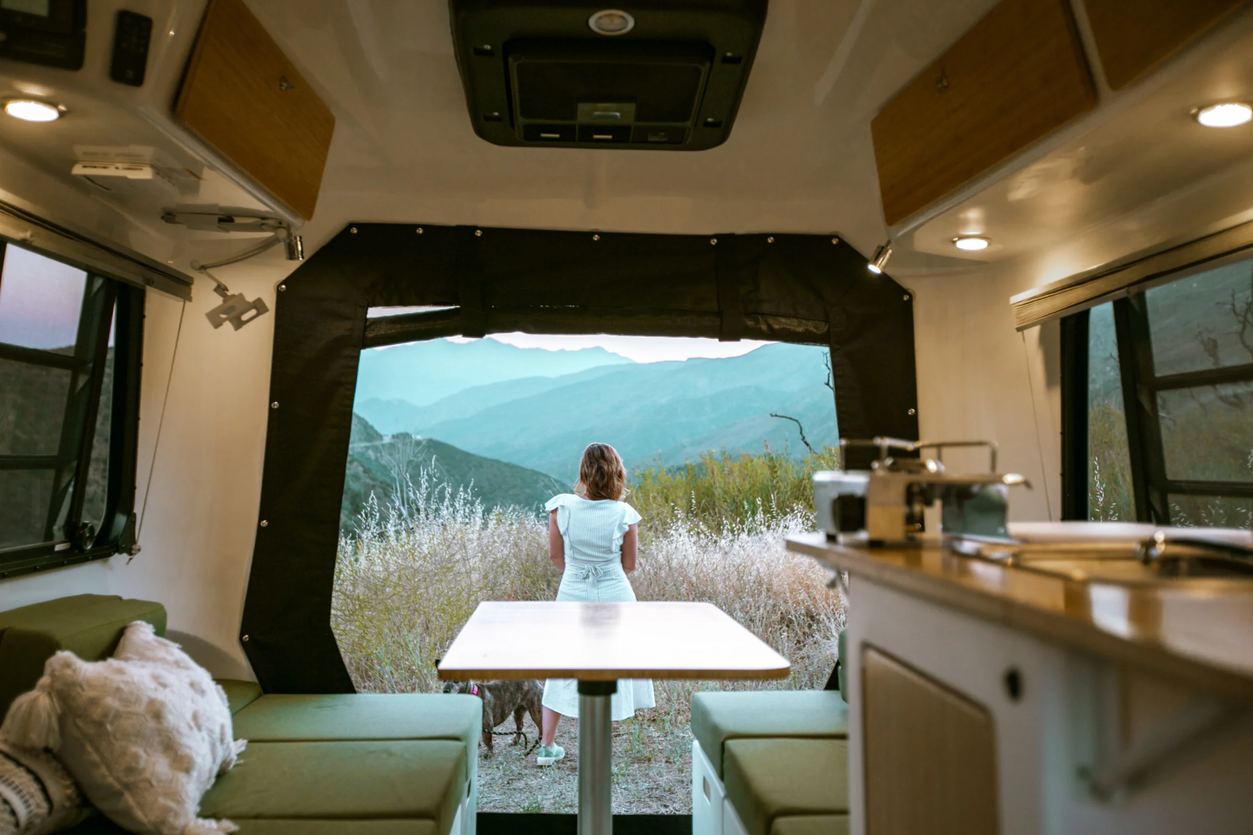 Rear Hatch Privacy Screen - Image 3